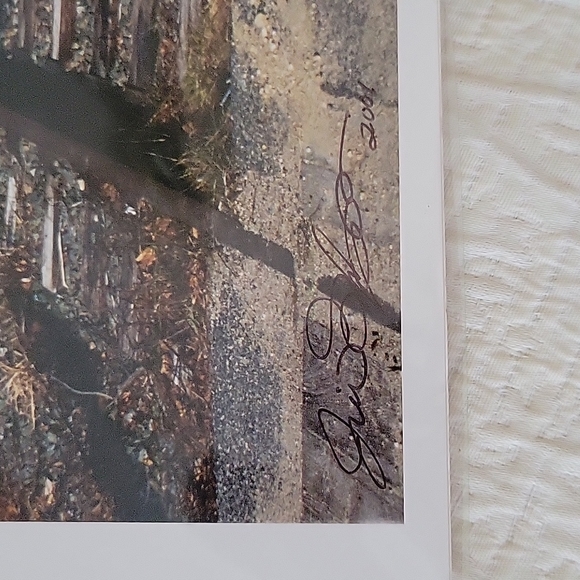 Abandon Railroad Tracks Photograph by Jill Gustafson - Picture 5 of 5